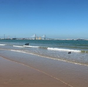sea-and-buildings