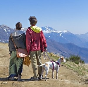 Must-visit-destinations-in-India-45