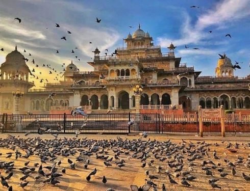 albert hall jaipur