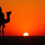 The complete Rajasthan 18 days