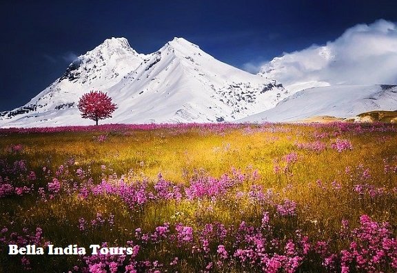 Incredible Himachal,