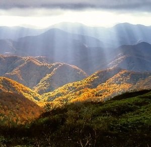 Delhi-Nainital-Jim Corbett-Mussoorie-Delhi-34