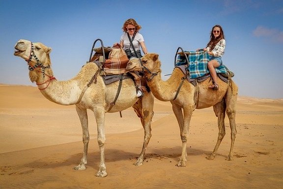 The Best tour of North India ,