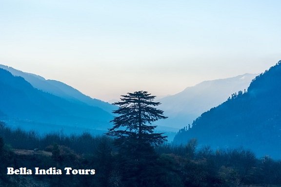 Amazing Himachal