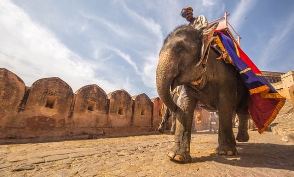 Jaipur-city-Tour-33