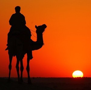 Travel-agency-in-Jaipur-41