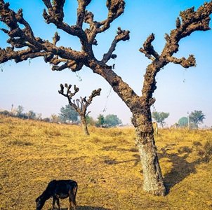 Travel-agency-in-Jaipur-51