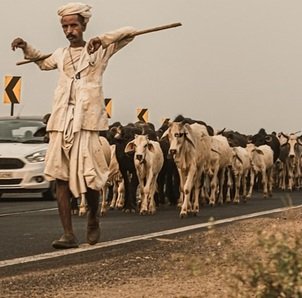 Travel-agency-in-Jaipur-79