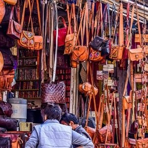 Travel-agency-in-Jaipur-82