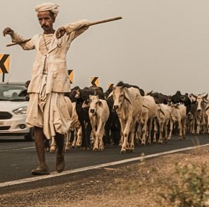 Travel-agency-in-Ahmedabad-22