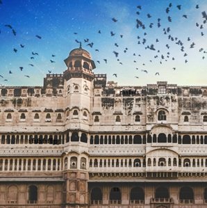 Travel-agency-in-Bikaner-07