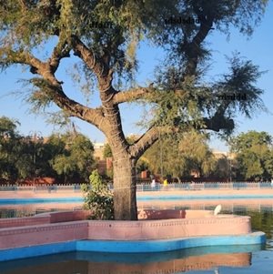 Travel-agency-in-Bikaner-31