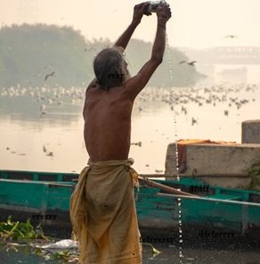 Old-man-watering-sun
