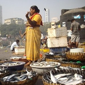 Woman-selling-fishes-street