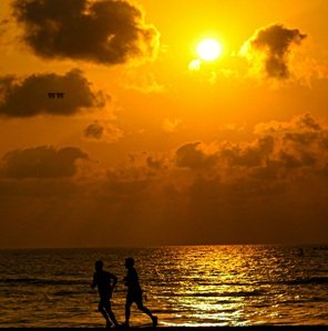 Travel-agency-in-Chennai-31