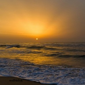Travel-agency-in-Chennai-41
