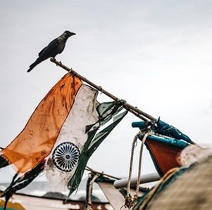 flag-India-with-bird