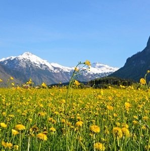 Travel-agency-in-Dharamshala-04