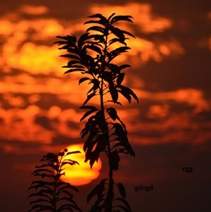 Travel-agency-in-Dharamshala-13