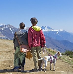 Travel-agency-in-Dharamshala-18