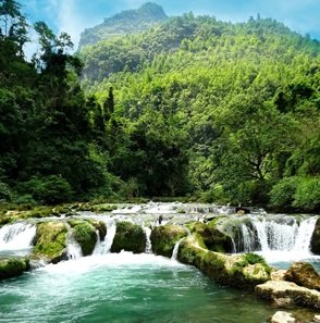 Travel-agency-in-Dharamshala-35