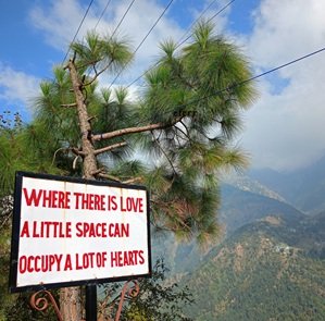 Travel-agency-in-Dharamshala-37