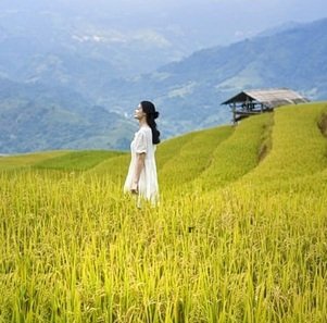 Travel-agency-in-Dharamshala-42