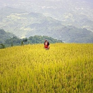 Travel-agency-in-Dharamshala-44