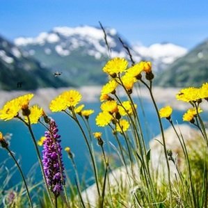 Travel-agency-in-Dharamshala-49