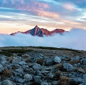 Travel-agency-in-Dharamshala-54