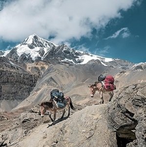 Travel-agency-in-Dharamshala-56