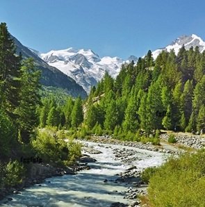 Nice-tree-river