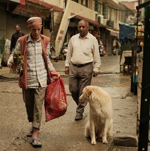 dog-with-man