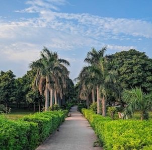 DELHI-UNIVERSITY-PARK