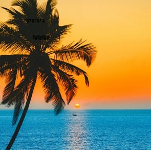 Best-travel-agency-in-Goa-1