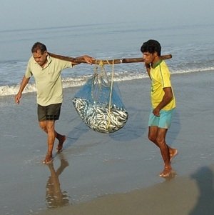Best-travel-agency-in-Goa-17