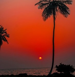 Best-travel-agency-in-Goa-36