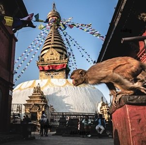 Best-travel-agency-in-Kathmandu-43