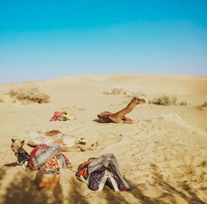 Travel-agency-in-Jaisalmer-37