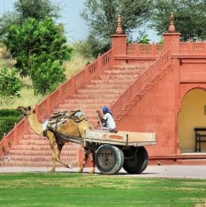 Travel-agency-in-Jaisalmer-39