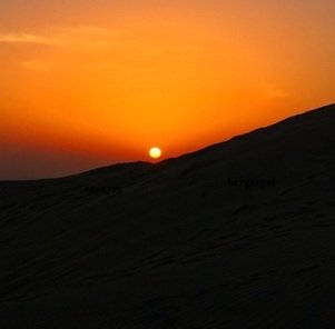 Travel-agency-in-Jaisalmer-56
