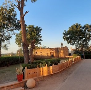 village-view-trees