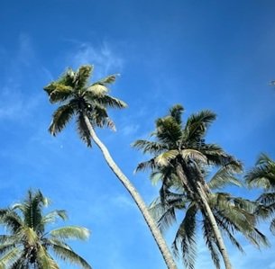 Travel-agency in-Kerala-05