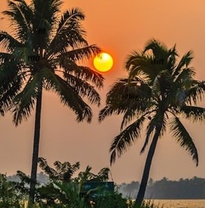 Travel-agency in-Kerala-12