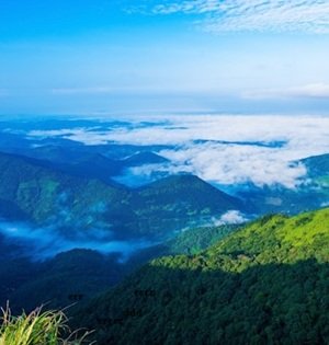 Travel-agency in-Kerala-14