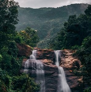 Travel-agency in-Kerala-15