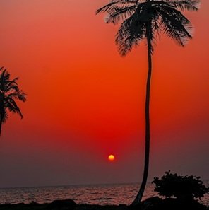 Travel-agency in-Kerala-18