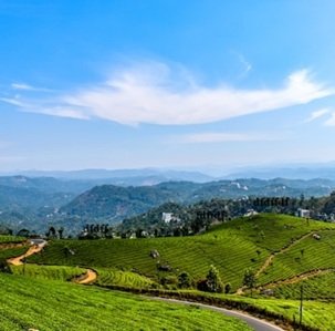 Travel-agency in-Kerala-19