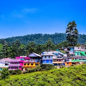 Travel-agency in-Kerala-20