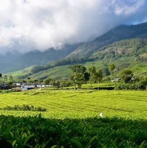Travel-agency in-Kerala-28